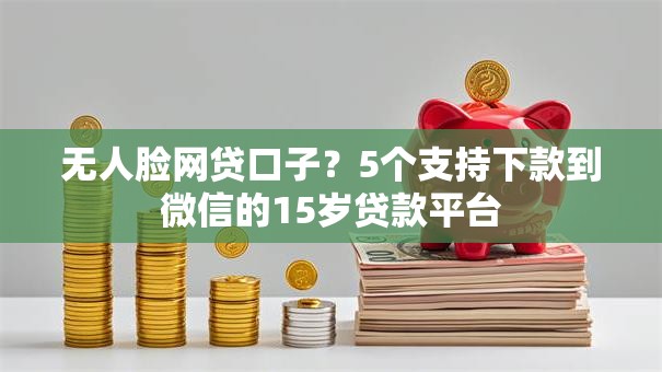 无人脸网贷口子？5个支持下款到微信的15岁贷款平台