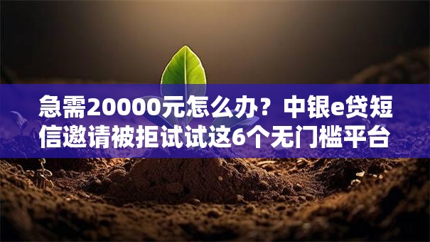 急需20000元怎么办？中银e贷短信邀请被拒试试这6个无门槛平台