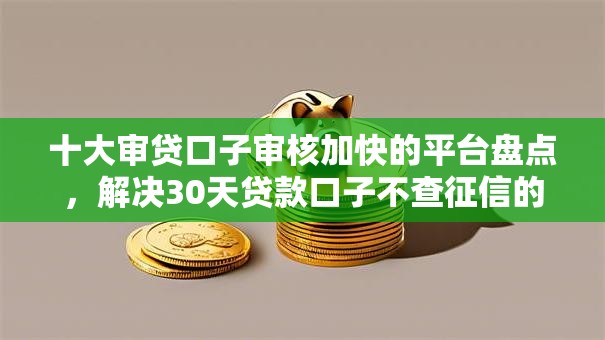 十大审贷口子审核加快的平台盘点，解决30天贷款口子不查征信的问题