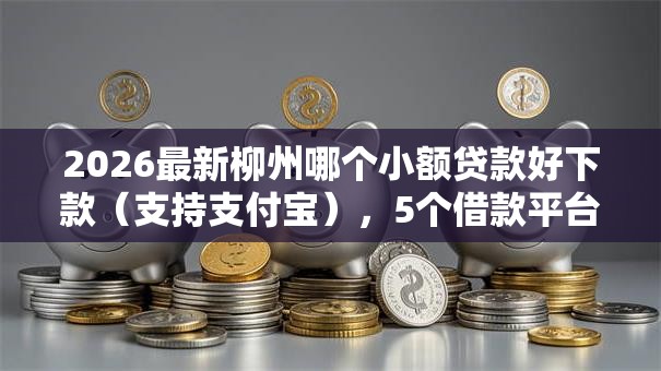 2026最新柳州哪个小额贷款好下款（支持支付宝），5个借款平台最好借钱无私分享