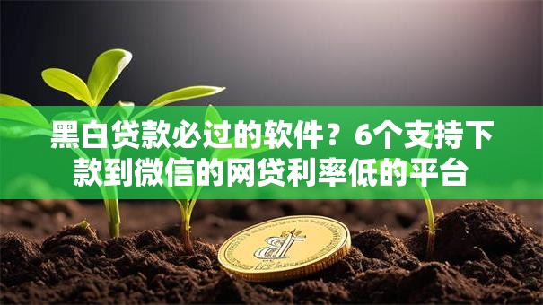 黑白贷款必过的软件？6个支持下款到微信的网贷利率低的平台