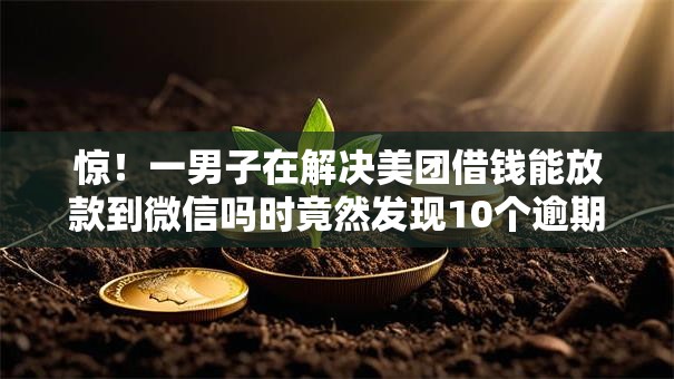 惊！一男子在解决美团借钱能放款到微信吗时竟然发现10个逾期太多仍可下款的口子，事后分享了出来