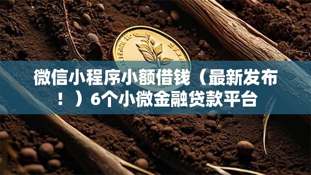 微信小程序小额借钱（最新发布！）6个小微金融贷款平台