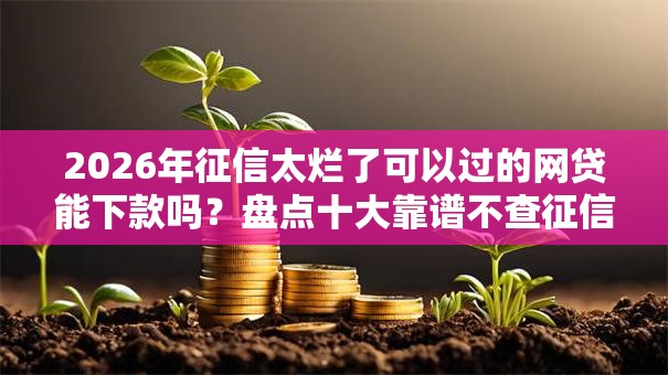 2026年征信太烂了可以过的网贷能下款吗？盘点十大靠谱不查征信大数据的秒下款平台
