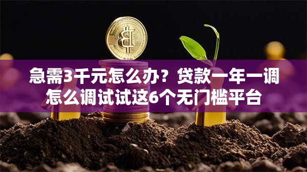 急需3千元怎么办？贷款一年一调怎么调试试这6个无门槛平台
