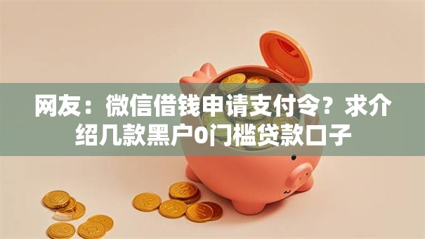网友：微信借钱申请支付令？求介绍几款黑户0门槛贷款口子