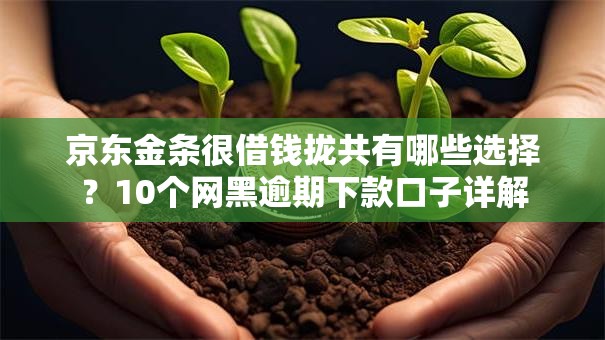 京东金条很借钱拢共有哪些选择?10个网黑逾期下款口子详解 京东金条很借钱拢共有哪些选择?10个网黑逾期下款口子详解