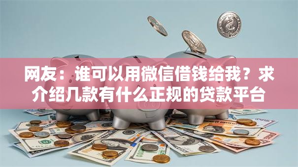 网友：谁可以用微信借钱给我？求介绍几款有什么正规的贷款平台