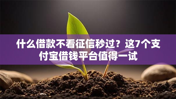 什么借款不看征信秒过？这7个支付宝借钱平台值得一试