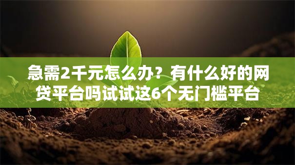 急需2千元怎么办？有什么好的网贷平台吗试试这6个无门槛平台