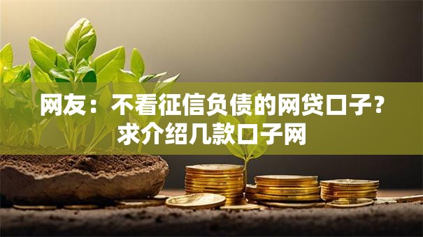 网友：不看征信负债的网贷口子？求介绍几款口子网