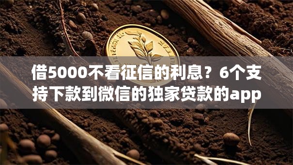 借5000不看征信的利息？6个支持下款到微信的独家贷款的app
