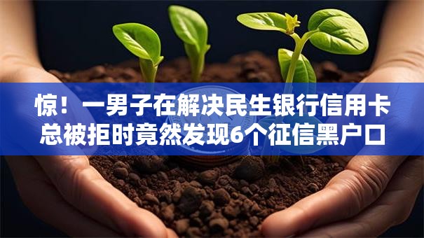 惊！一男子在解决民生银行信用卡总被拒时竟然发现6个征信黑户口子能贷款，事后分享了出来