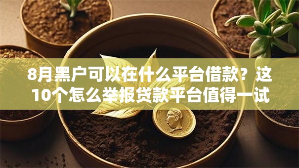 8月黑户可以在什么平台借款？这10个怎么举报贷款平台值得一试
