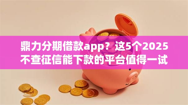 鼎力分期借款app？这5个2025不查征信能下款的平台值得一试