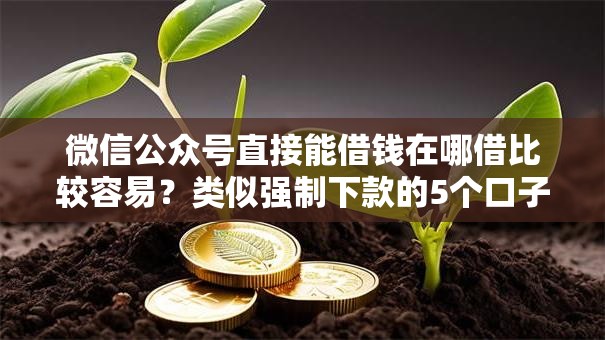 微信公众号直接能借钱在哪借比较容易？类似强制下款的5个口子参考