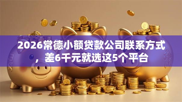 2026常德小额贷款公司联系方式，差6千元就选这5个平台