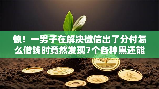 惊！一男子在解决微信出了分付怎么借钱时竟然发现7个各种黑还能下款的口子，事后分享了出来
