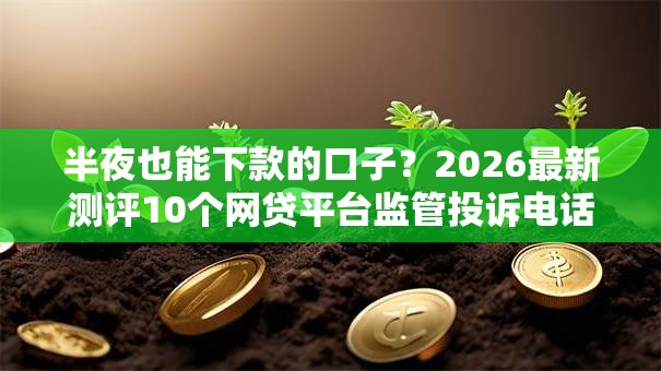 半夜也能下款的口子？2026最新测评10个网贷平台监管投诉电话