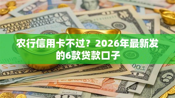农行信用卡不过？2026年最新发的6款贷款口子