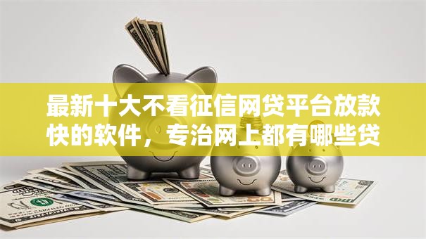 最新十大不看征信网贷平台放款快的软件，专治网上都有哪些贷款平台可以下款