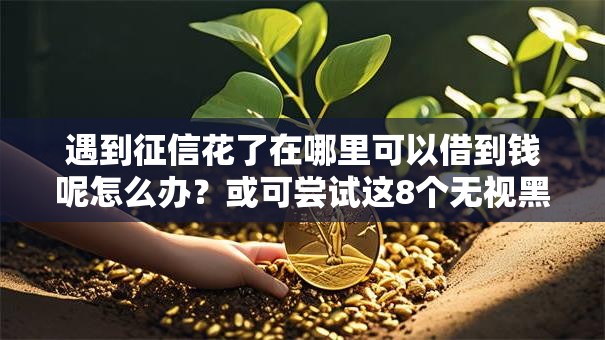 遇到征信花了在哪里可以借到钱呢怎么办？或可尝试这8个无视黑白的网贷平台