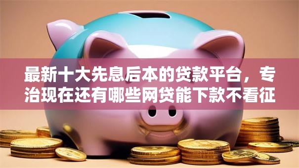 最新十大先息后本的贷款平台，专治现在还有哪些网贷能下款不看征信的