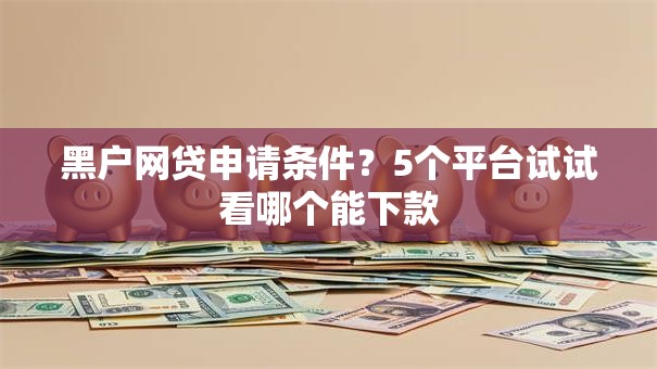黑户网贷申请条件?5个平台试试看哪个能下款 黑户网贷申请条件?5个平台试试看哪个能下款