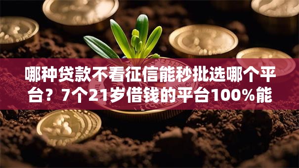 哪种贷款不看征信能秒批选哪个平台?7个21岁借钱的平台100%能借到推荐 哪种贷款不看征信能秒批选哪个平台?7个21岁借钱的平台100%能借到推荐