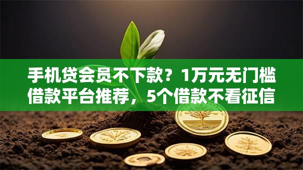 手机贷会员不下款？1万元无门槛借款平台推荐，5个借款不看征信的平台盘点