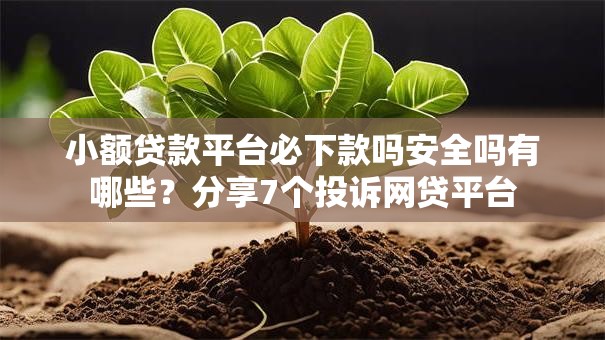 小额贷款平台必下款吗安全吗有哪些?分享7个投诉网贷平台 小额贷款平台必下款吗安全吗有哪些?分享7个投诉网贷平台
