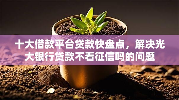 十大借款平台贷款快盘点，解决光大银行贷款不看征信吗的问题