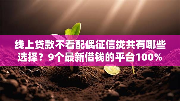 线上贷款不看配偶征信拢共有哪些选择?9个最新借钱的平台100%能借到详解 线上贷款不看配偶征信拢共有哪些选择?9个最新借钱的平台100%能借到详解