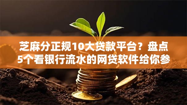 芝麻分正规10大贷款平台？盘点5个看银行流水的网贷软件给你参考
