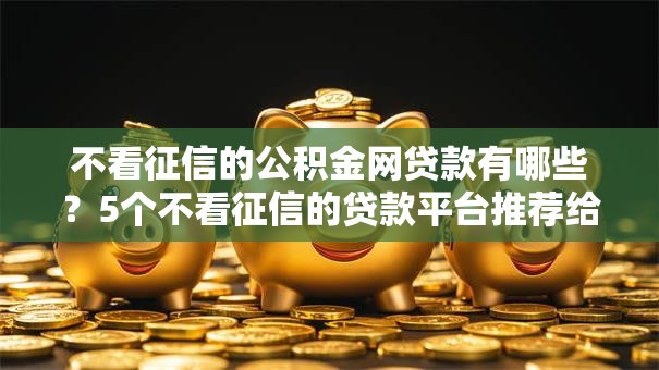 不看征信的公积金网贷款有哪些？5个不看征信的贷款平台推荐给你