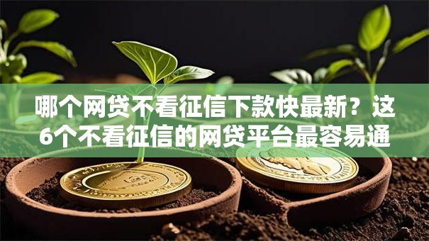 哪个网贷不看征信下款快最新?这6个不看征信的网贷平台最容易通过的值得一试 哪个网贷不看征信下款快最新?这6个不看征信的网贷平台最容易通过的值得一试