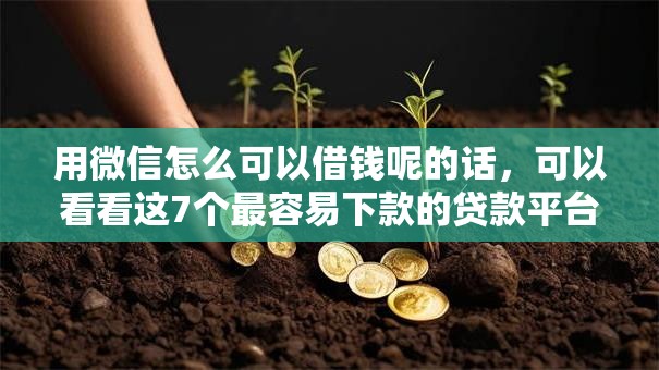 用微信怎么可以借钱呢的话，可以看看这7个最容易下款的贷款平台不看征信