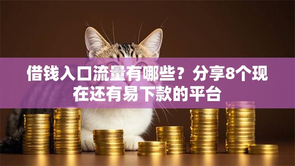 借钱入口流量有哪些?分享8个现在还有易下款的平台 借钱入口流量有哪些?分享8个现在还有易下款的平台