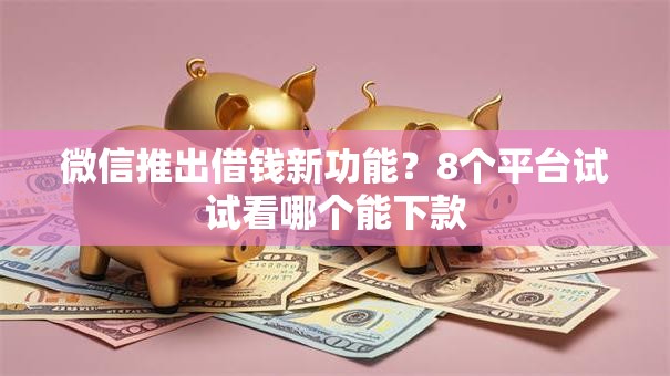 微信推出借钱新功能？8个平台试试看哪个能下款