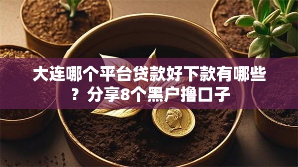 大连哪个平台贷款好下款有哪些?分享8个黑户撸口子 大连哪个平台贷款好下款有哪些?分享8个黑户撸口子