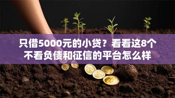 只借5000元的小贷?看看这8个不看负债和征信的平台怎么样 只借5000元的小贷?看看这8个不看负债和征信的平台怎么样