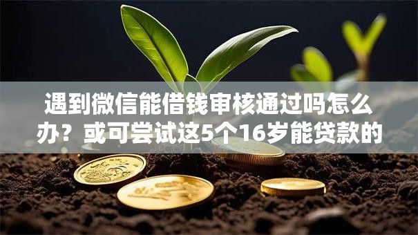 遇到微信能借钱审核通过吗怎么办？或可尝试这5个16岁能贷款的平台