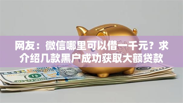 网友：微信哪里可以借一千元？求介绍几款黑户成功获取大额贷款的口子