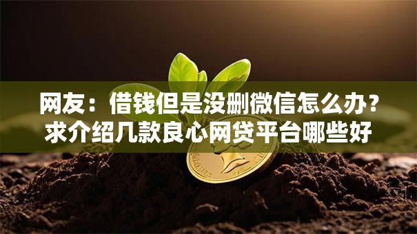 网友:借钱但是没删微信怎么办?求介绍几款良心网贷平台哪些好 网友:借钱但是没删微信怎么办?求介绍几款良心网贷平台哪些好