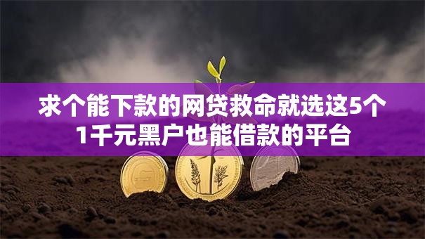 求个能下款的网贷救命就选这5个1千元黑户也能借款的平台