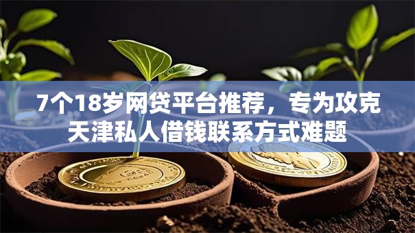 7个18岁网贷平台推荐，专为攻克天津私人借钱联系方式难题