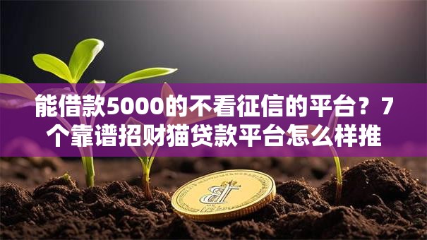 能借款5000的不看征信的平台？7个靠谱招财猫贷款平台怎么样推荐