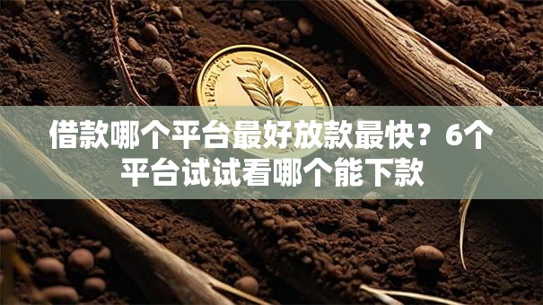 借款哪个平台最好放款最快？6个平台试试看哪个能下款
