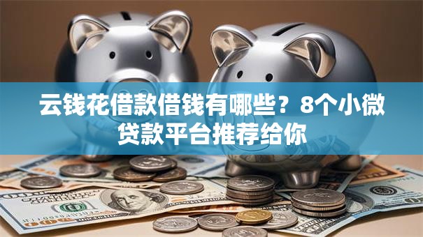 云钱花借款借钱有哪些？8个小微贷款平台推荐给你