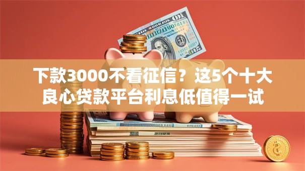 下款3000不看征信？这5个十大良心贷款平台利息低值得一试